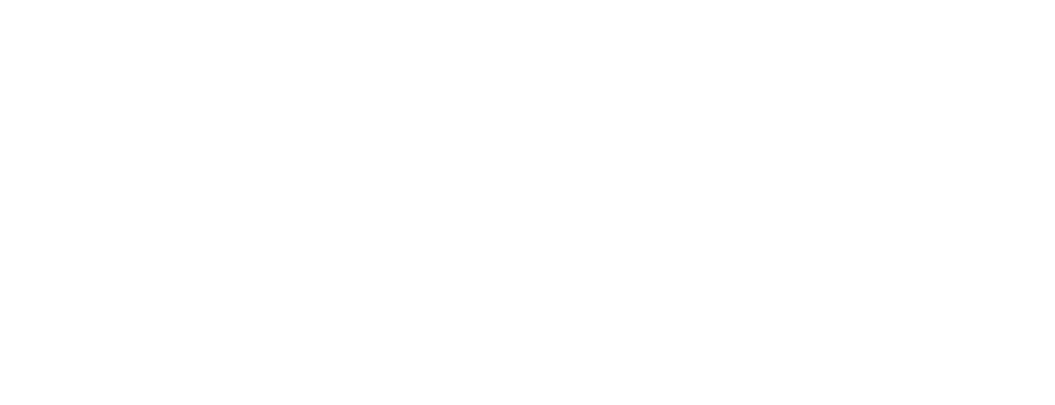 Numeracle Logo - White